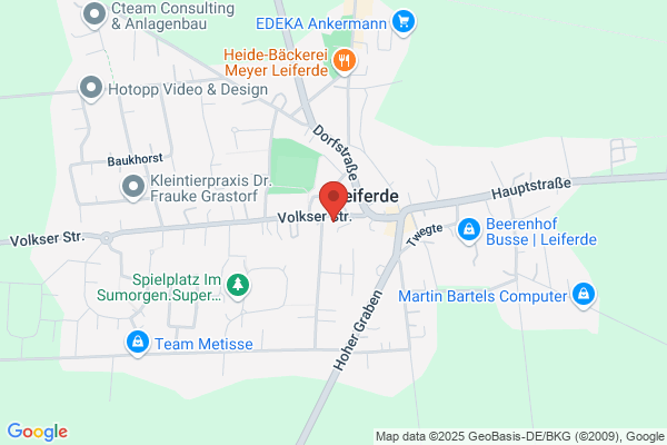 Elena Dridi Pferdeverhaltenstraining