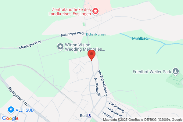 Polarion Software GmbH