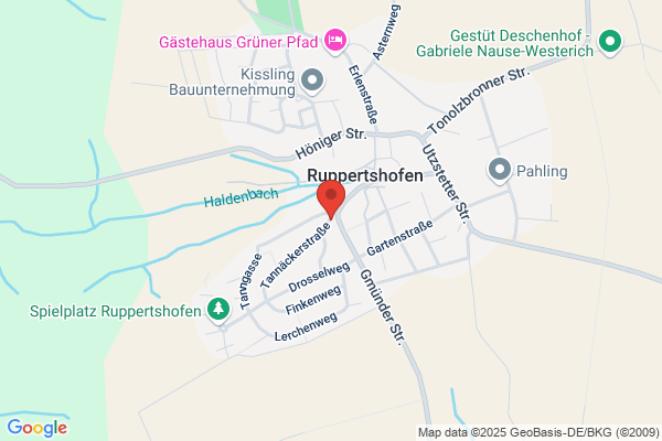 Kinesiologische Beratungspraxis