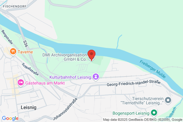 DMI GmbH & Co. KG