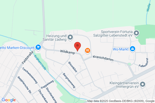 NP-Markt Salzgitter - Lebenstedt