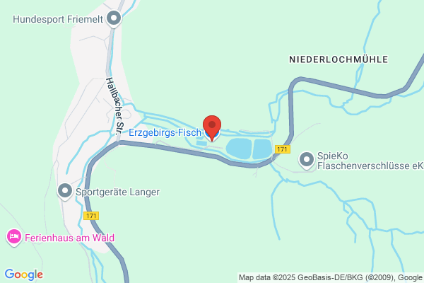 Erzgebirgs-Fisch