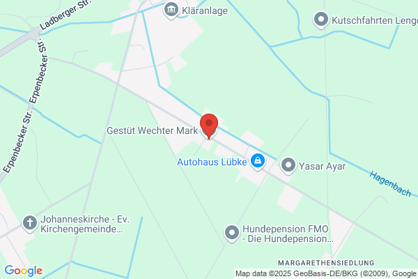 Zucht- und Handelsstall