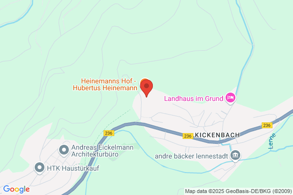 Hubertus Heinemann