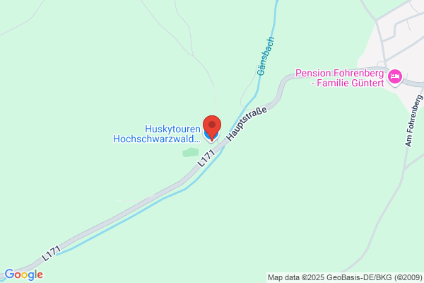 Huskytouren Hochschwarzwald