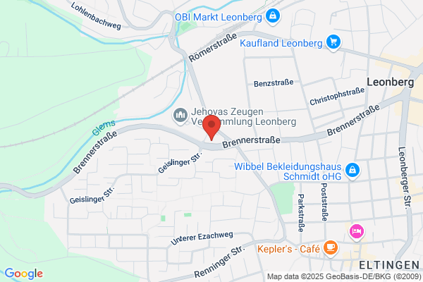 IWS Treuhand GmbH