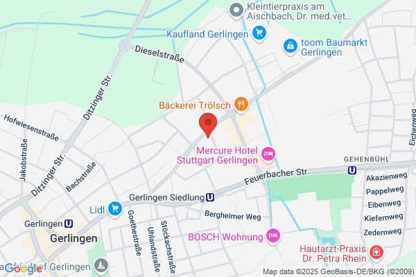 dbw  Mediencoaching