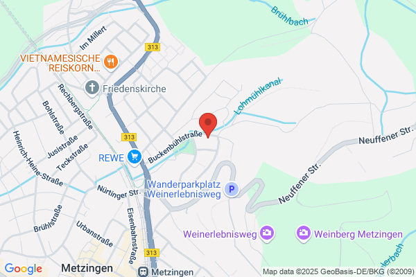 IRS Inter Regio Services GmbH Sonderreisedienste