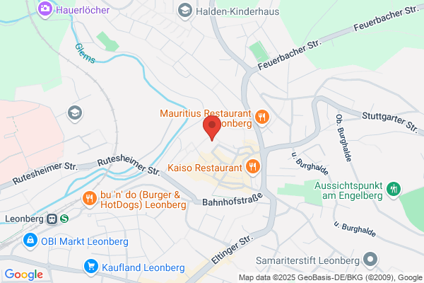 Verein der Freunde und