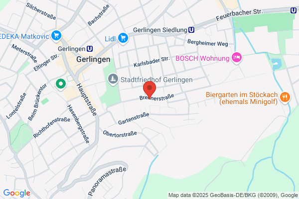 Contacter Karnevalgesellschaft Gerlingen e.V.