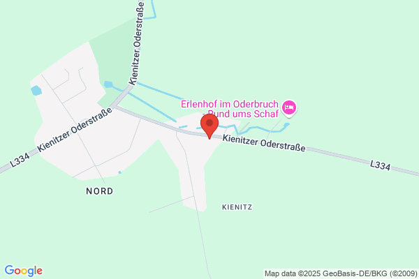 Kienitzer-Fussboden-Design
