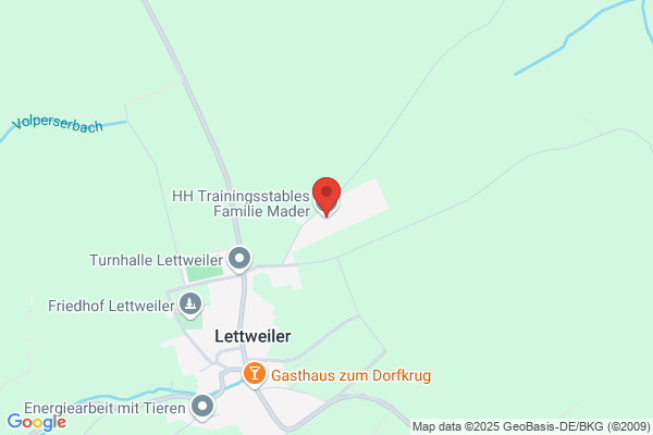 Double-H-Trainingstables Pferdepension Lettweiler