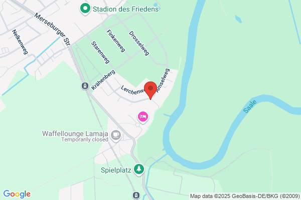 Elisabeth Bust