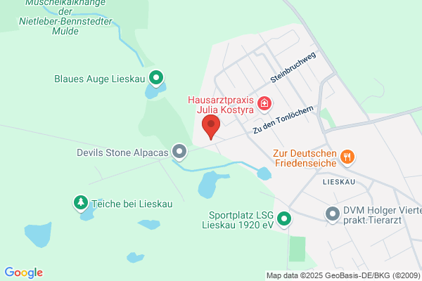 M*U*T - Mitteldeutsches - Umzugs - Team