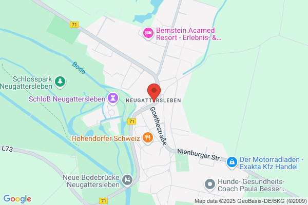 Goldener Stern