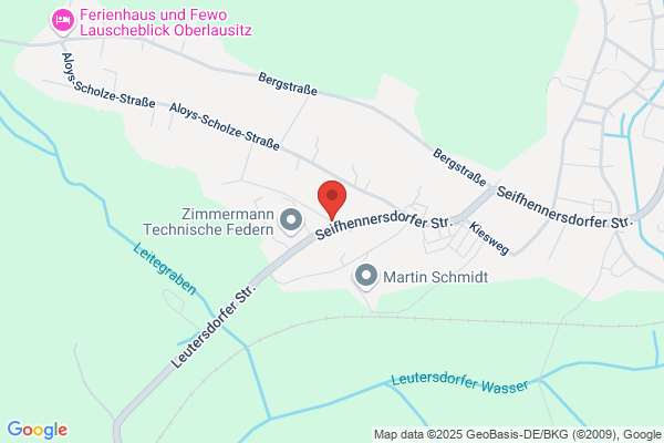 Zimmermann Technische Federn GmbH