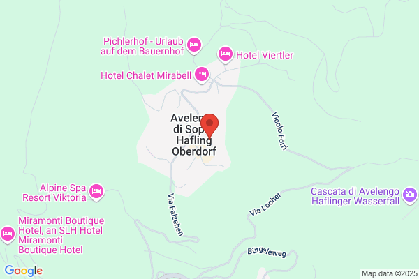 Ellen Höfling