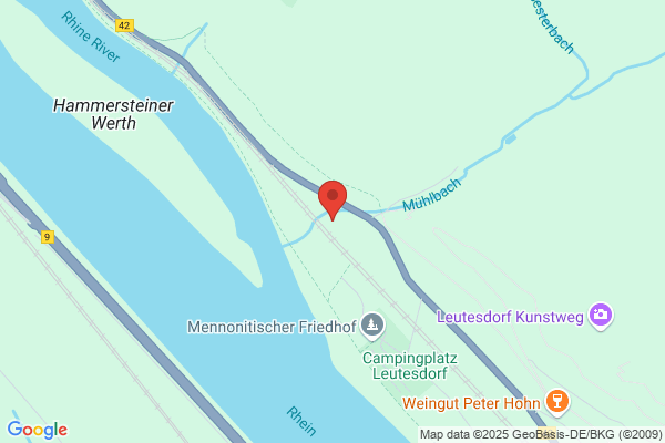 Irene's Wäschetaxi