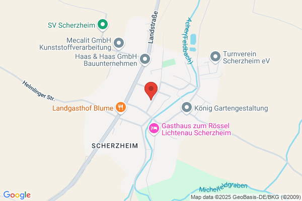 Figurentheater Die Holzköpfe  e.V.