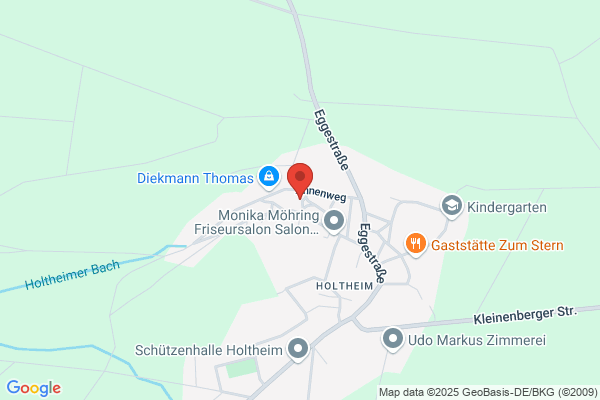 DWS digitale Wägesysteme GmbH