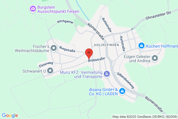 Reit- u. Fahrverein Holzelfingen e.V.