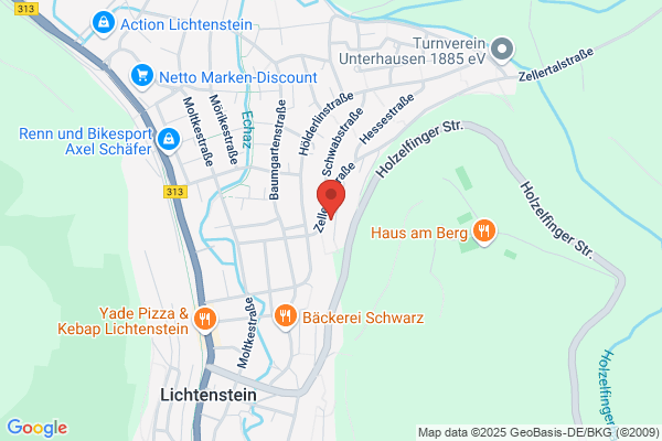 Lichtenstein Immobilien