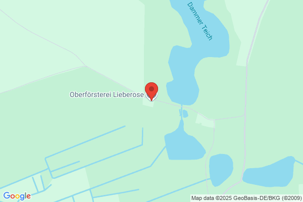 Revierförster Fuchs Revier Drachenhausen