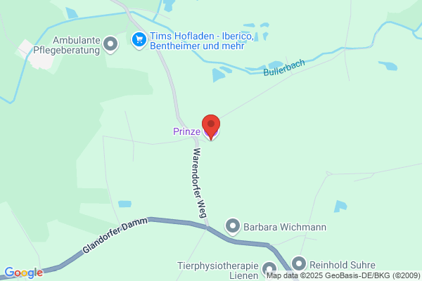 Norbert u. Ulrike Püning