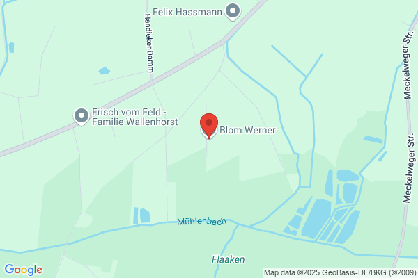 Werner Blom, N.