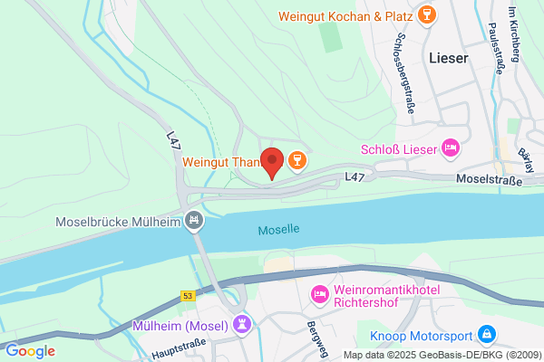 Ferienwohnung Am Moselufer Lieser an der Mosel