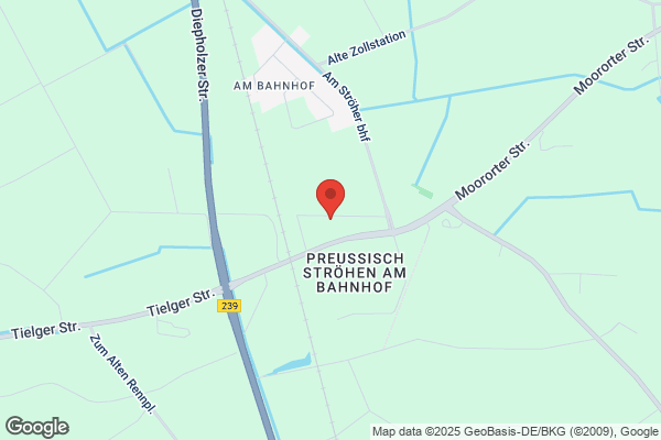Buchholz GmbH
