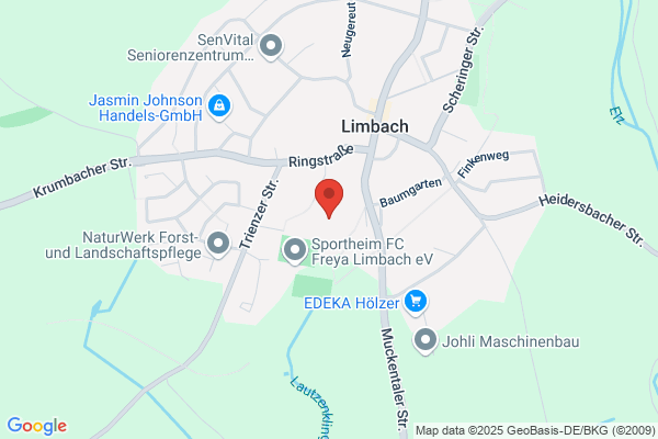 Hauptschule mit WRS Limbach