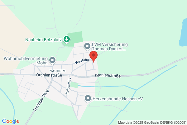 Alarmanlagen, Absicherungen aller Art, Video,Notrufzentrale Remus Tag+Nacht e.K.