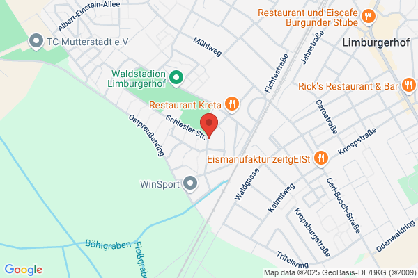 Dach-Meister-Service Horbach Bedachungen