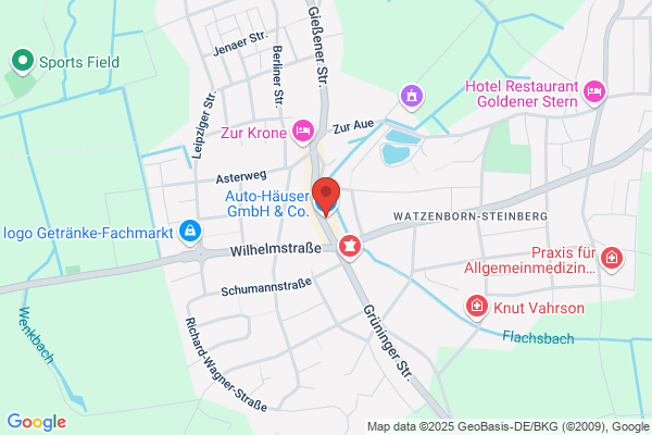 Auto Häuser GmbH & Co. KG