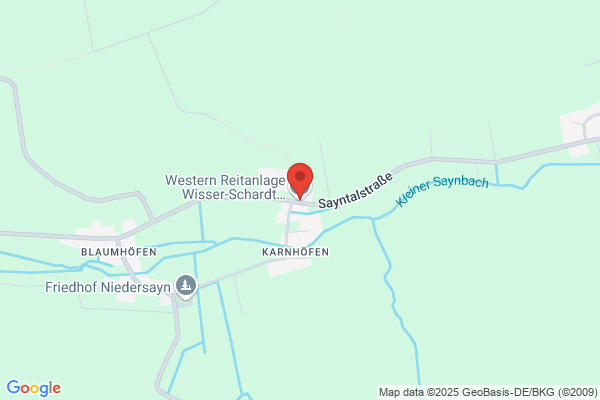 Wisser