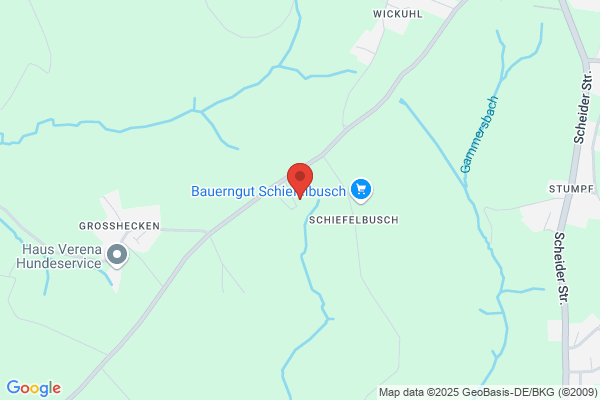 HSK Haus-Service Körner