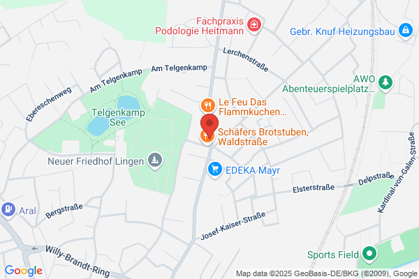 Debeka Servicebüro Lingen (Ems) (Versicherungen und Bausparen)