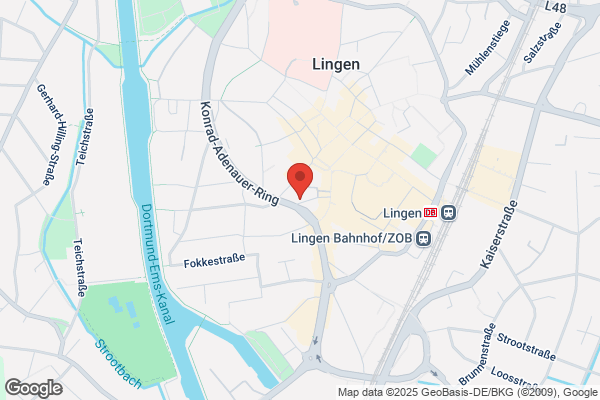 Pflanze & Stein Garten-