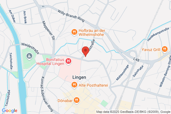Niese & Partner GmbH