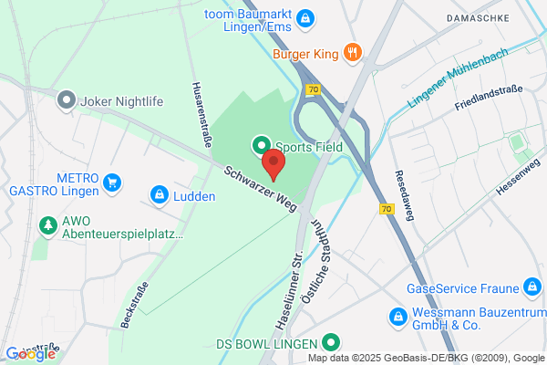 Verein Für Ballspiele