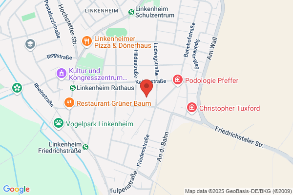 Musikschule Musicus ,Freie Musikschule