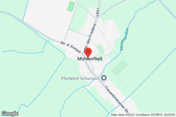 Hunde und Katzensalon