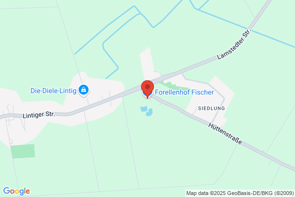 Fischer & Lohsen IT