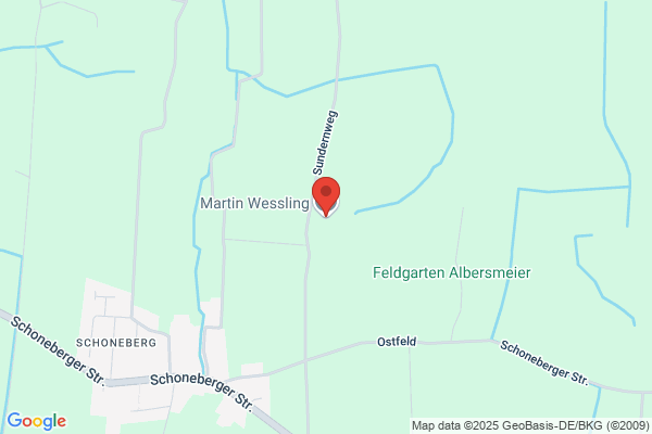 Martin Wessling