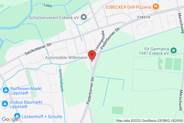 Automobile Wilkmann