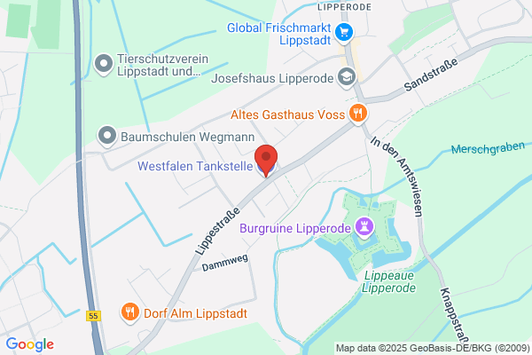 Westfalen Tankstelle