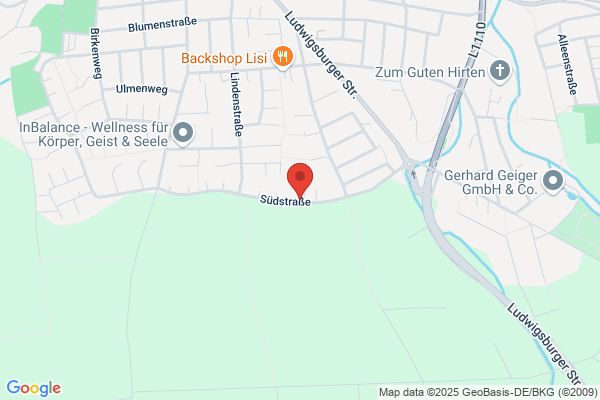 Schwäbischer Handwerkerservice