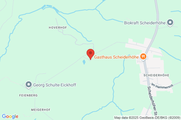 Kirsch