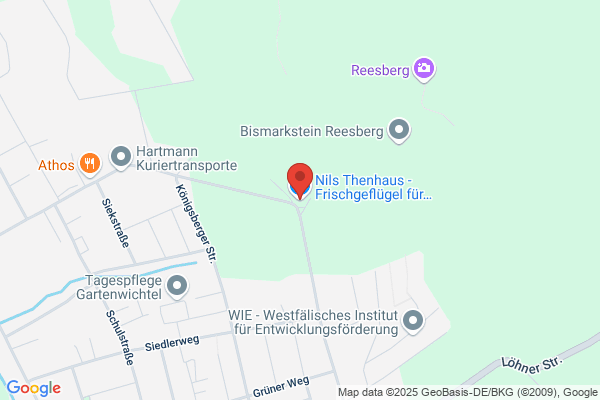 Thenhaus Druckservice